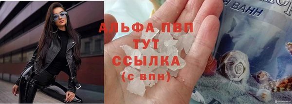 крисы Абдулино
