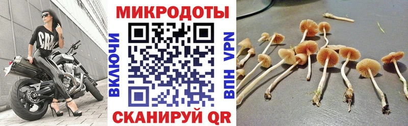 Псилоцибиновые грибы Magic Shrooms  Харабали 